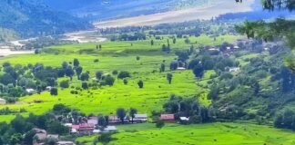 جموں و کشمیر ہائی کورٹ: "شاملات دیہ” کِس زٔمیٖنٕچ مٲلِکیت کٮ۪ن حقوٗقن برابر، حکومت چھِ معاوضہٕ ادا کرنٕچ پابند۔