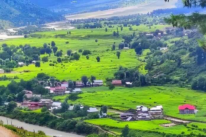 Screenshot_2024-12-31-04-13-57-40_a27b88515698e5a58d06d430da63049d